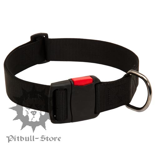 Quick Release Dog Collar