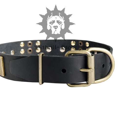 Designer Dog Collar UK