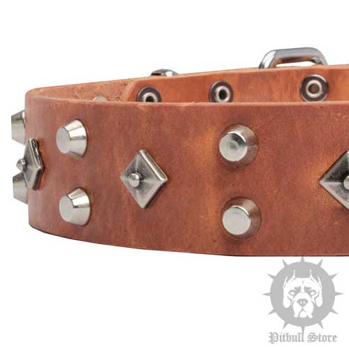 Designer Studded Dog Collar