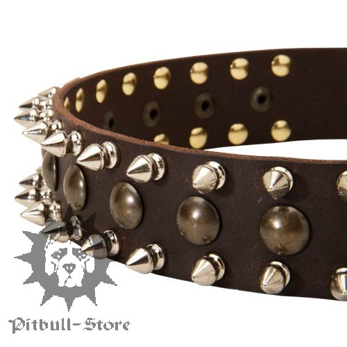 Studded Dog Collar