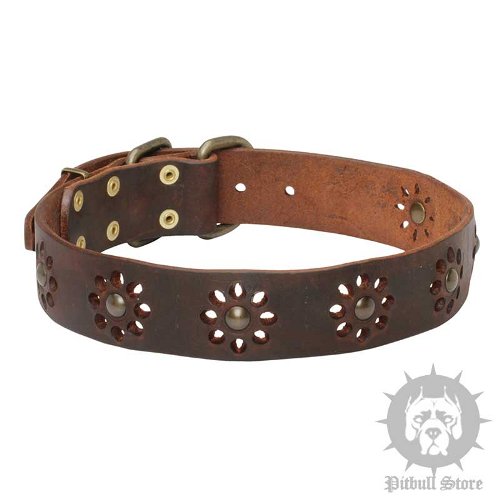 Dog Collar with Flowers