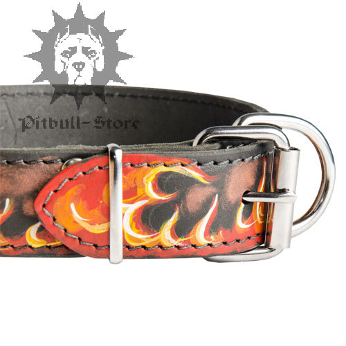 Designer Dog Collar