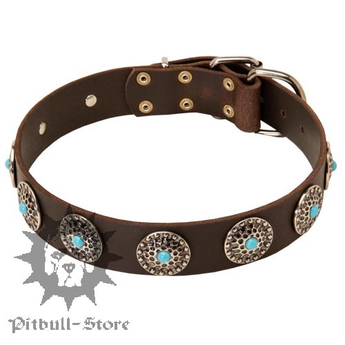 Fancy Dog Collar