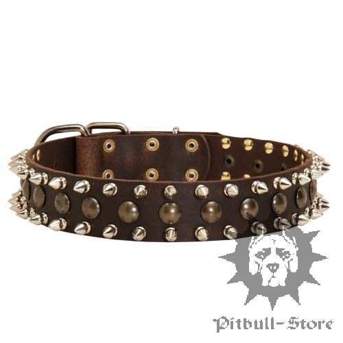 Spiked Dog Collar