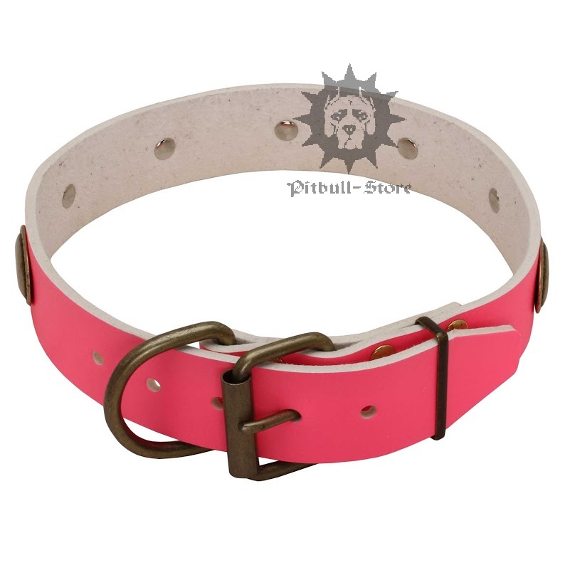Pink Dog Collar Female Dog Collar UK £55.30
