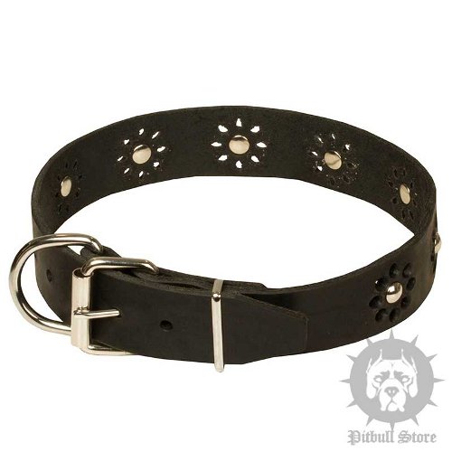 Cute Spring Dog Collars