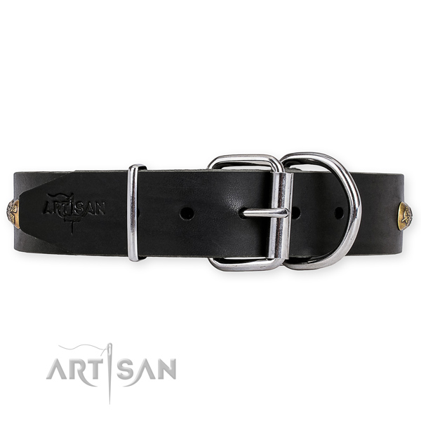 Studded Leather Dog Collars