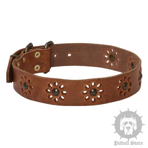 Fabric Dog Collar Flowers