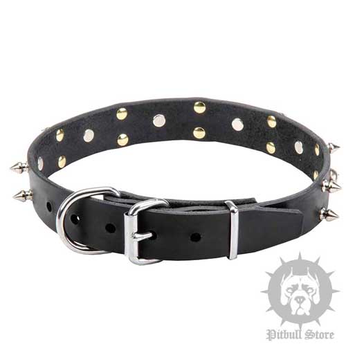 Pirate Dog Collar