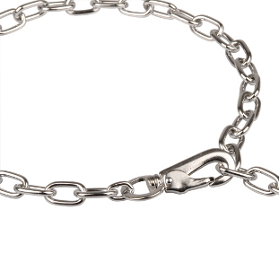 Dog Chain Collar