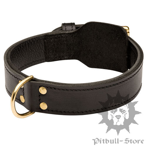 Agitation Dog Collar