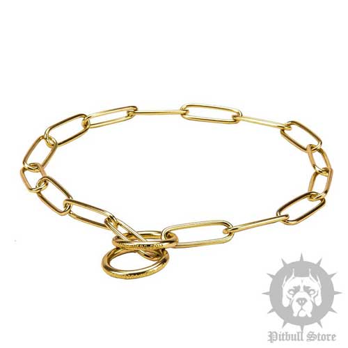 Brass Dog Collar