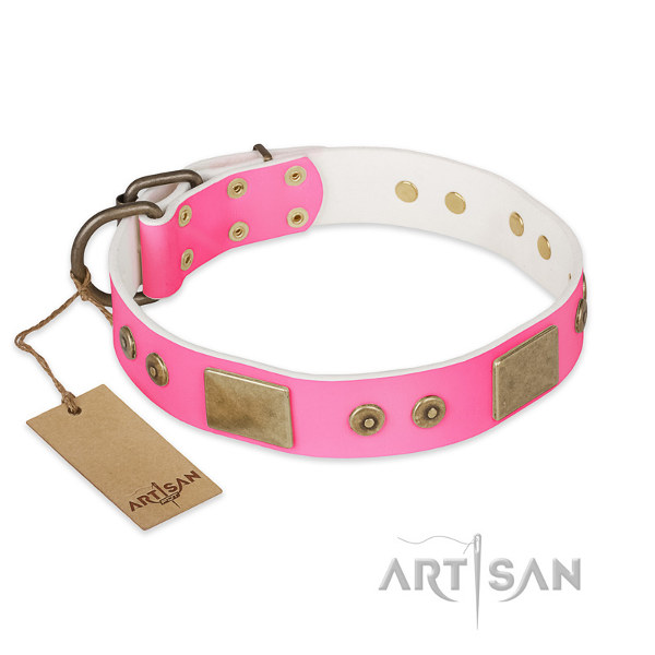 Pitbull Leather Collar