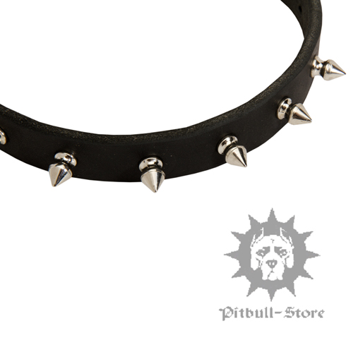 Spiked Dog Collar