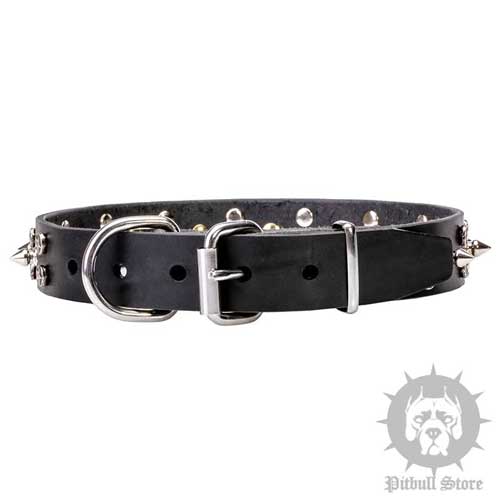 Gorgeous Dog Collar