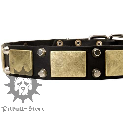 Wide Leather Dog Collar