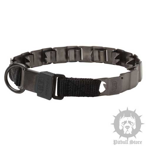 Herm Sprenger Dog Collar