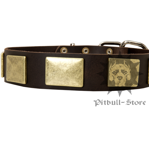 Dog Collar UK