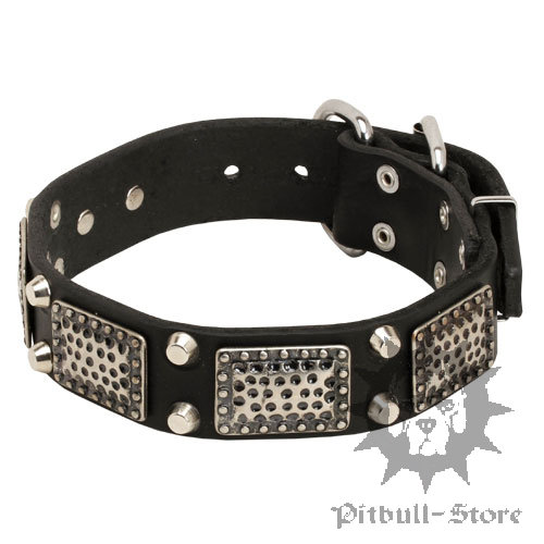 Pitbull Collar