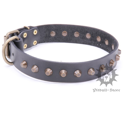 Studded Dog Collar