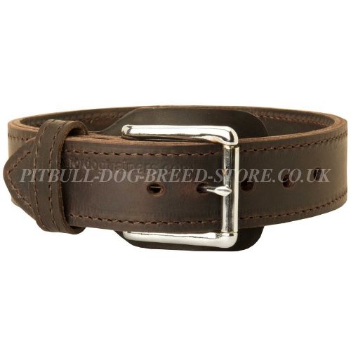 Agitation Leather Dog Collar