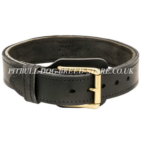 Wide Leather Dog Collar