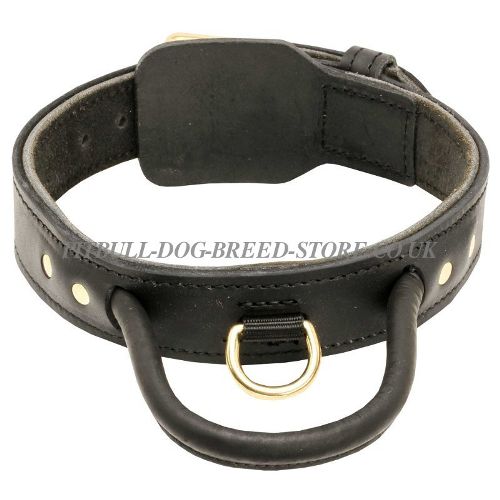 Dog Collar with Handle