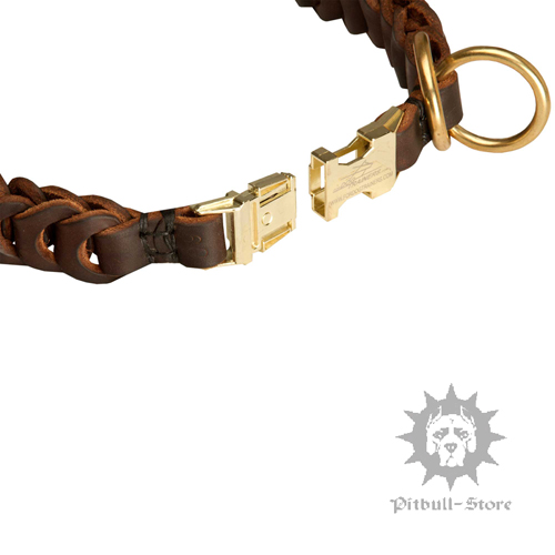 Leather Choke Dog Collar