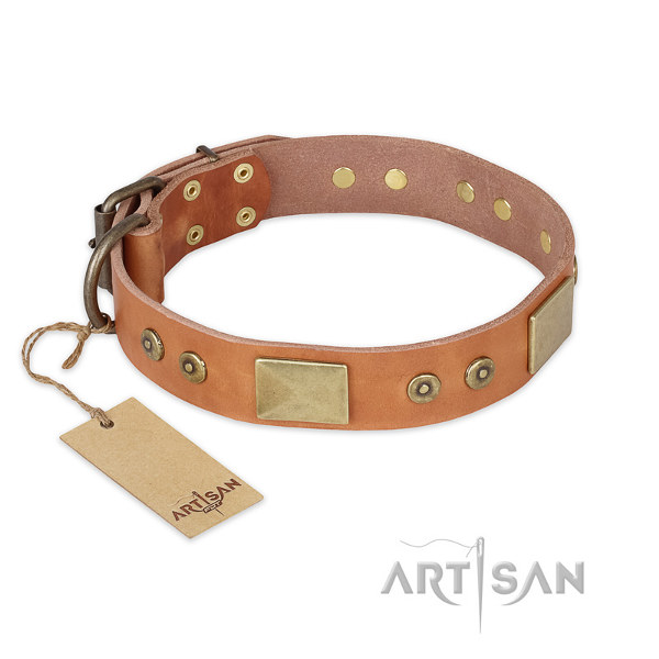 Leather Collar for Pitbull