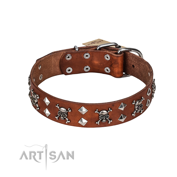 Leather Custom Dog Collar