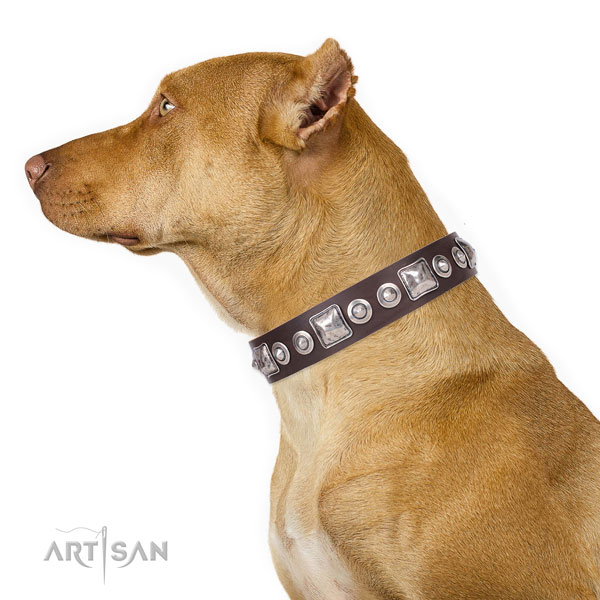 Leather Dog Collar with Buckle