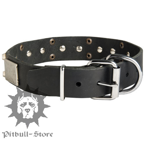 Leather Dog Collar