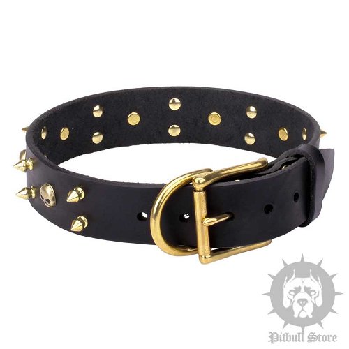 Gothic Dog Collar