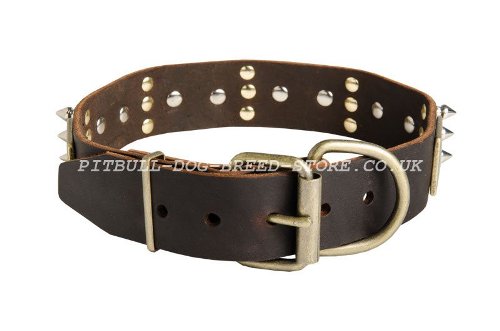 Ultimate Dog Collar UK