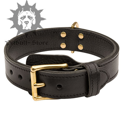 Dog Training Collar