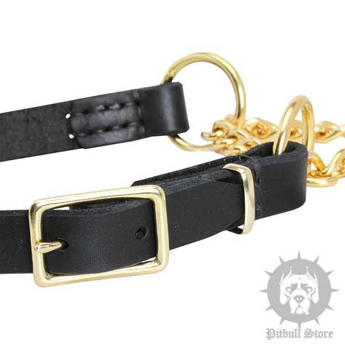 Martingale Dog Collar