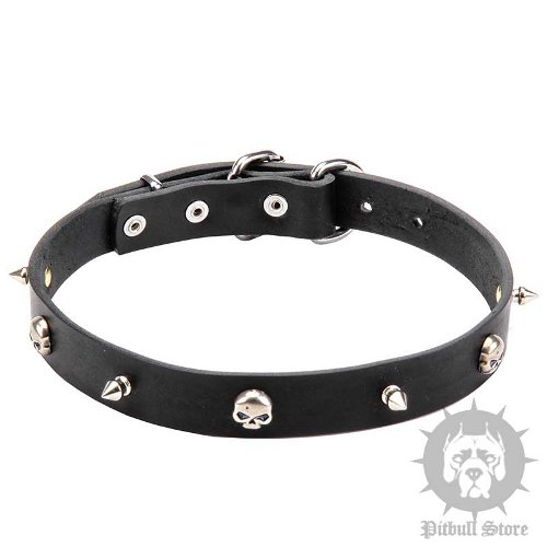 Pirate Dog Collar UK