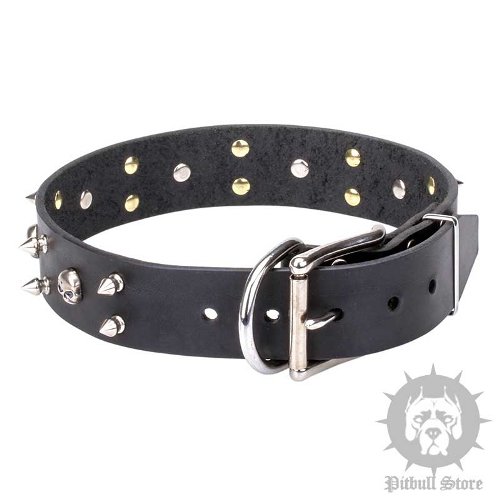 Rock Star Dog Collar