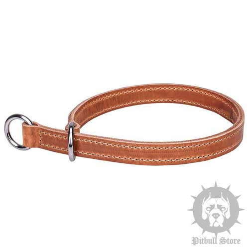 Leather Slip Collar