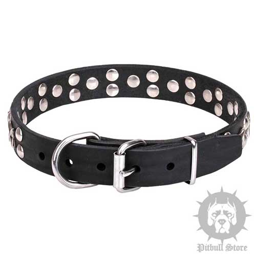 Luxury Dog Collar