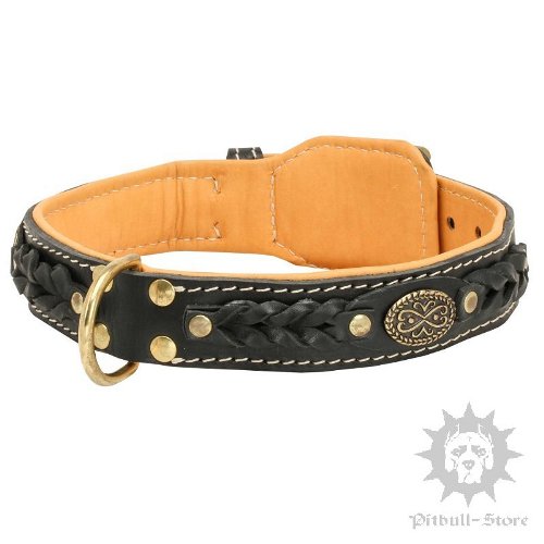 Luxury Dog Collar UK