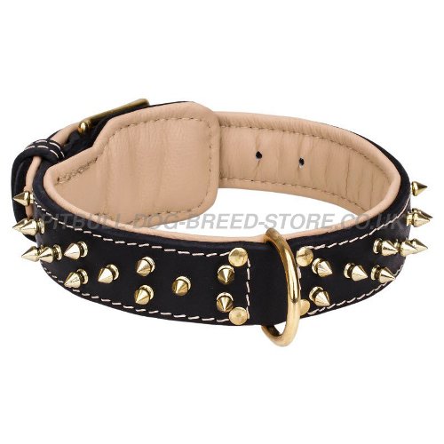 Luxury Dog Collar UK