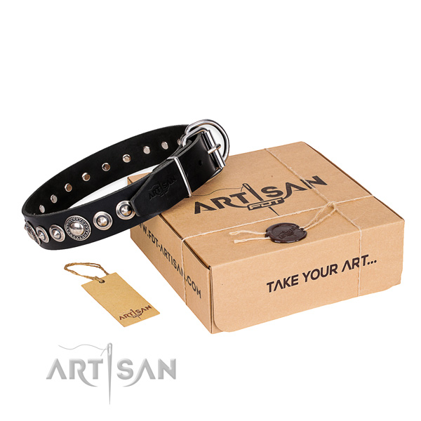 Luxury Pet Collar