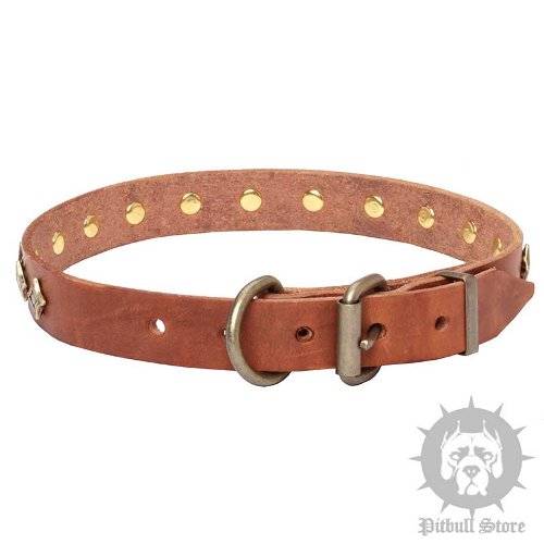 Brown Leather Dog Collars UK