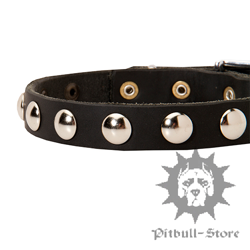 Narrow Dog collar 