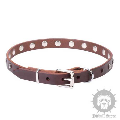 Narrow Dog Collar