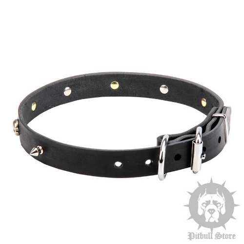 Pyrate Dog Collars UK