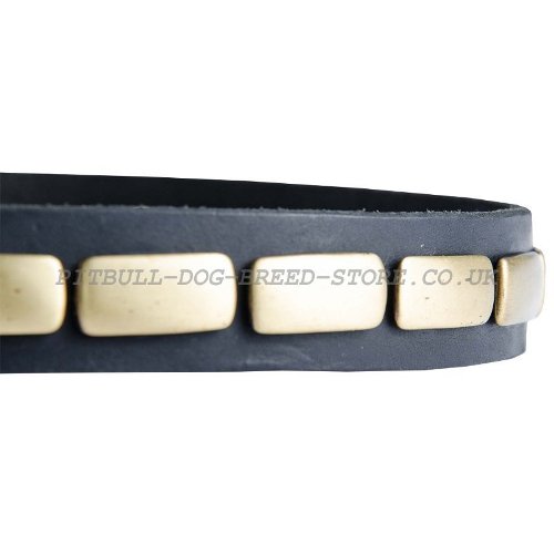 Narrow Leather Dog Collar