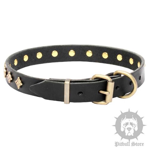 Narrow Width Dog Collar