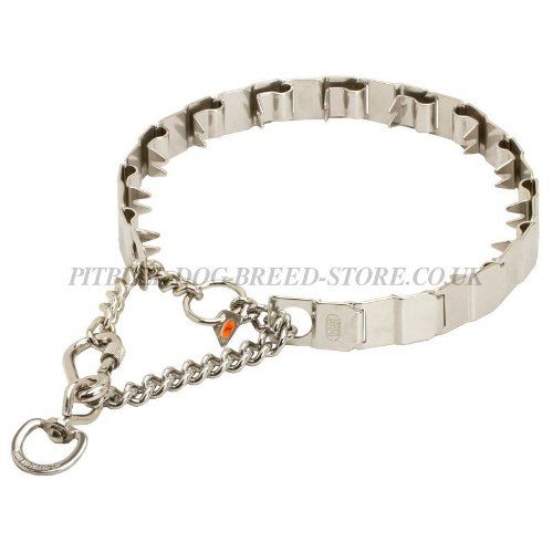 Dog Prong Collar UK